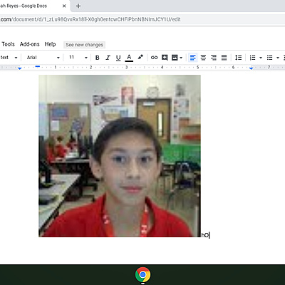 Timeline: David Perez's Timeline