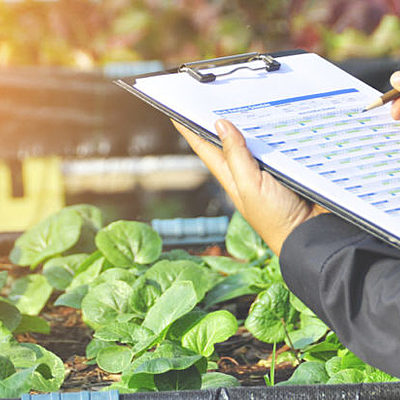 Timeline: Evolución de la calidad y vida personal