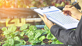 Timeline: Evolución de la calidad y vida personal