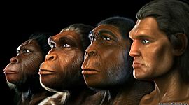 Timeline: Eje cronológico de los Hominídos