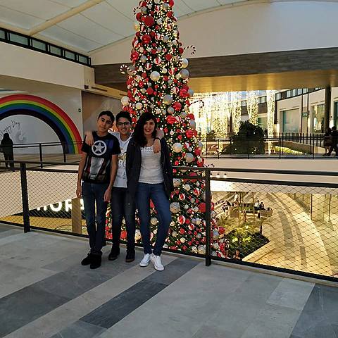 Felicidad en estado Puro