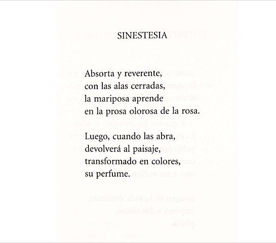 Poema de Palabra sobre Palabra