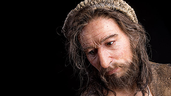 HOMO SAPIENS-SAPIENS