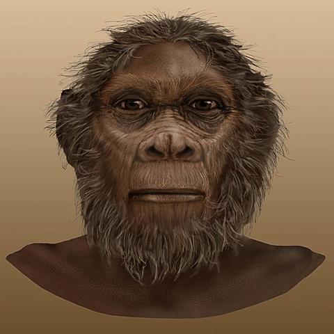 Homo Rudolfensis