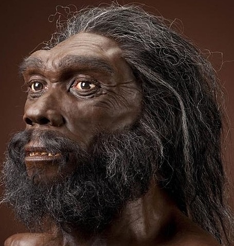 Homo Heidelbergensis