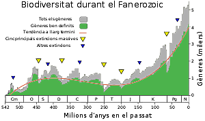 Extinció del Permià (fa 250 Ma)