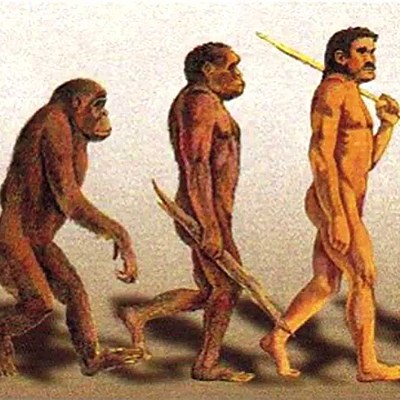 Timeline: Eje Cronológico Hominidos