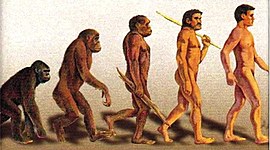 Timeline: Eje Cronológico Hominidos