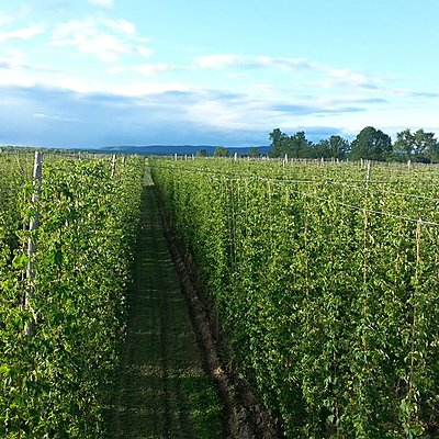 Timeline: Projet professionnel