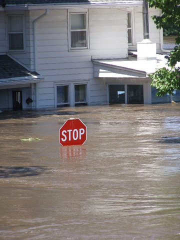 flood of 2008