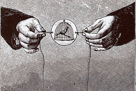 Taumatropo de Jhon Ayrton Paris