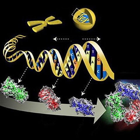 Década de los 80´s
