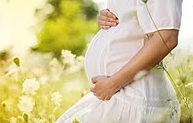 De la concepción al nacimiento