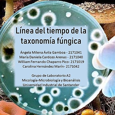 Timeline: Taxonomía fúngica