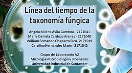 Timeline: Taxonomía fúngica
