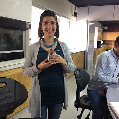 Timeline: Bitácora de siembra: Semilla de Aguacate