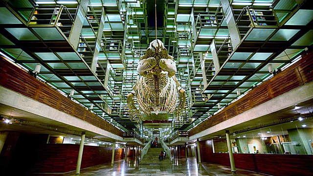 Bibliteca Vasconcelos