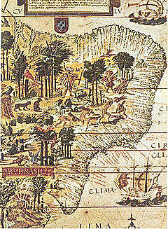 ⇩ Arrivamiento a Brasil de los españoles