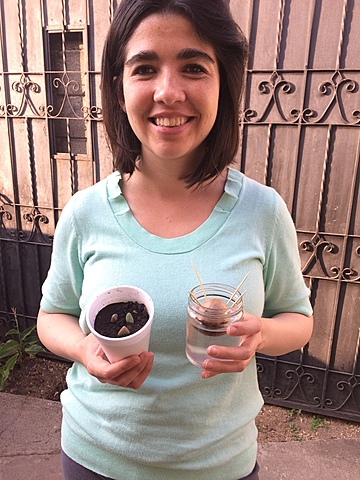 Semana 2: Cuidado inicial de la planta