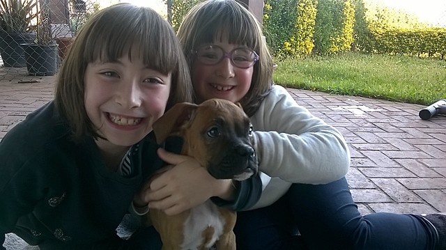 nire txakurra "haize"etorri zenean