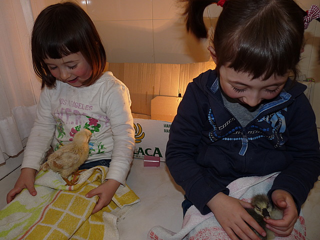 txito eta ahate etorri zirenean