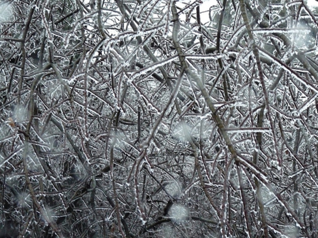 ICE STORM