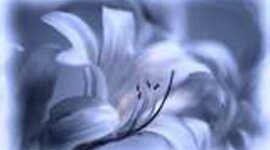 Timeline: Project #9a