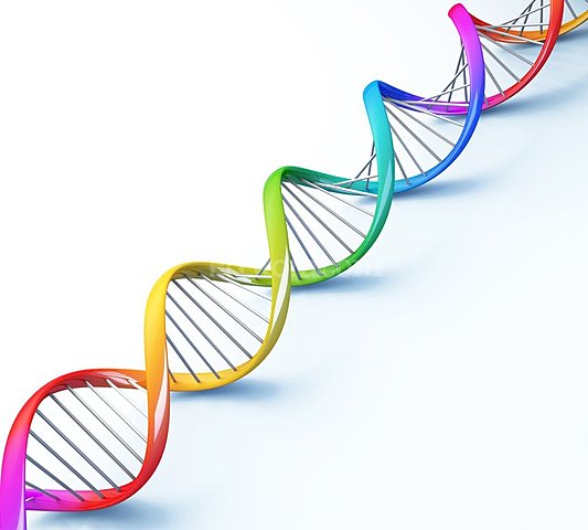 ADN Como Codigo Universal