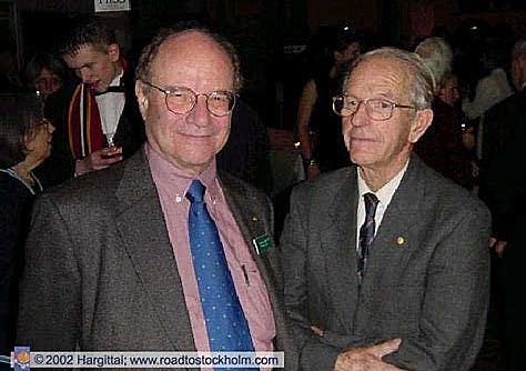 Cuatro Bases Nucleótidas Del ADN