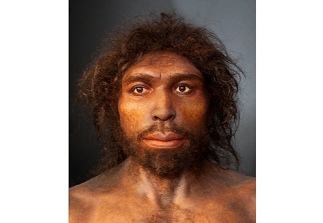 Homo Antecessor