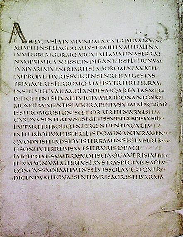 Florecimiento del Códex