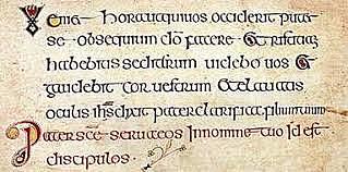 Escritura semiuncial irlandesa