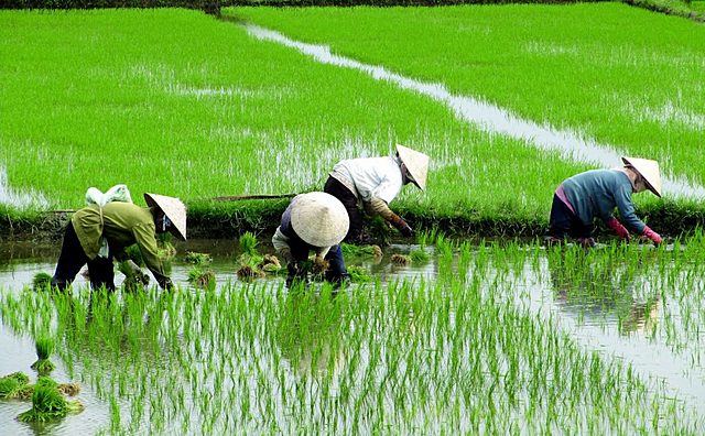 Primer plan quinquenal