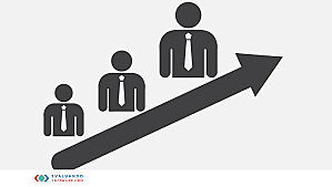 Teoría general de las organizaciones