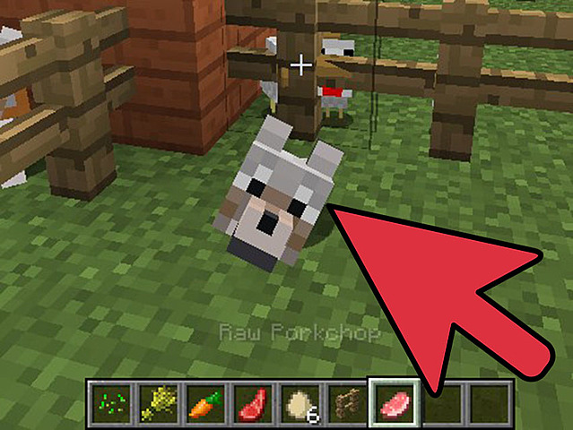 got my first minecraft dog