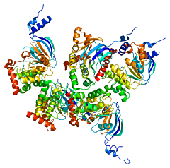 Francis Collins y Lap-Chee Tsui