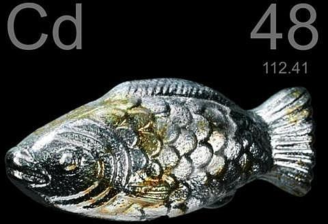 Cadmi (Cd)