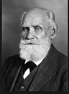 Reflexología en Rusia