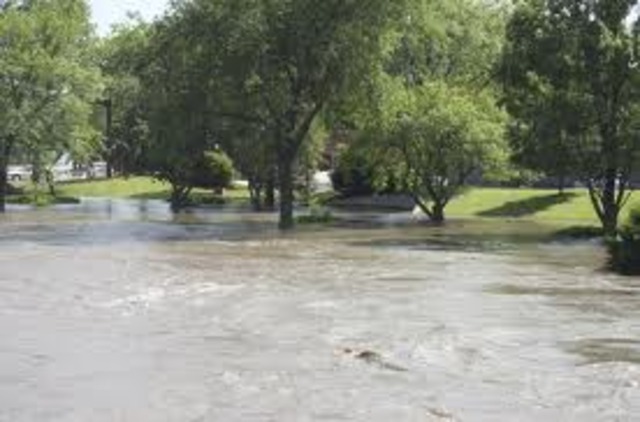 The Flood of 2008