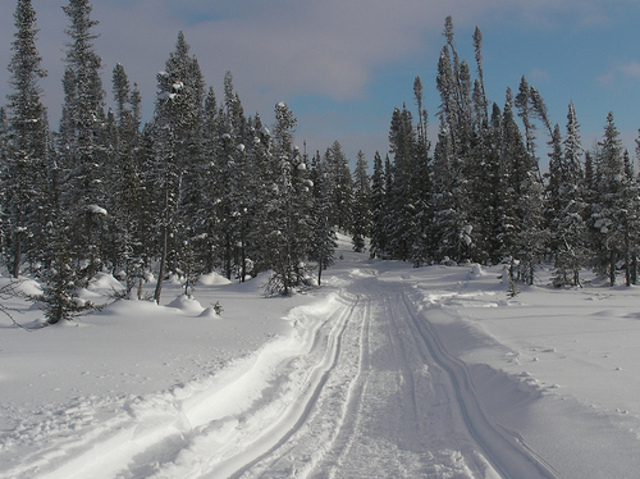 Ski-doos 50th aniversery