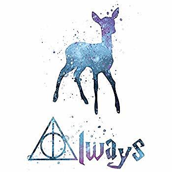 I got introduced to Harry Potter