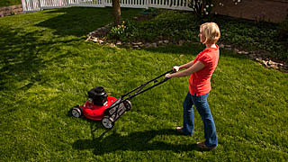 Mow the lawn