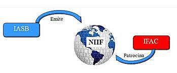 Las NIIF a nivel internacional
