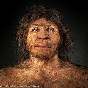 Homo Antecessor