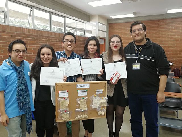 Primer año de Universidad