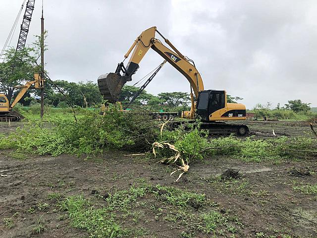 TALA Y DESENRAICE DE ARBOLES MEDIANOS