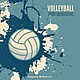 Voleibol salpicadura fondo 23 2147733988