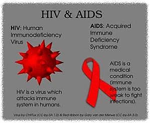 HIV/AIDS Epidemic Key Concept 9.1 I A