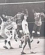 4.2 Caracteristicas 2