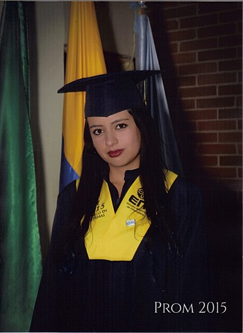 Técnico en Sistemas